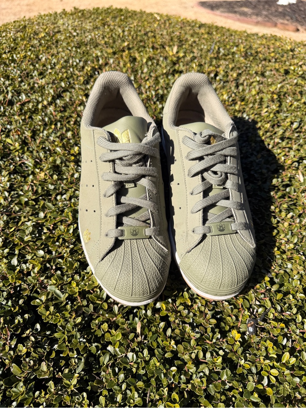 adidas Casual Sneakers in Olive